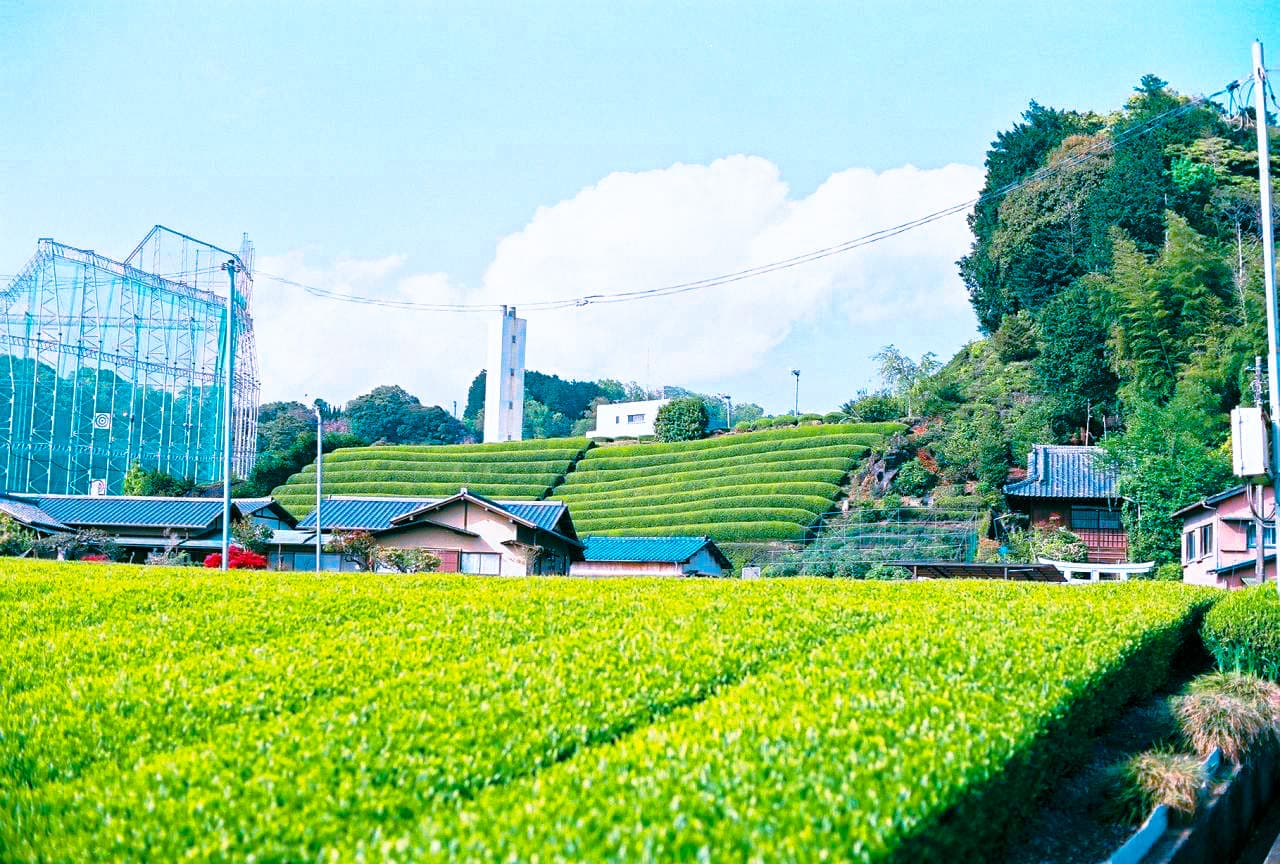 背景